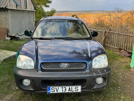 Хендай Санта Фе 2004 в Балте на Automoto.ua Синий Хендай Санта Фе, объемом двигателя 0 л и пробегом 314 тыс. км за 3500 $, фото 1 на Automoto.ua