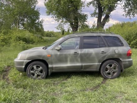 Хендай Санта Фе 2002 в Сумах на Automoto.ua Зеленый Хендай Санта Фе, объемом двигателя 2 л и пробегом 251 тыс. км за 2900 $, фото 1 на Automoto.ua
