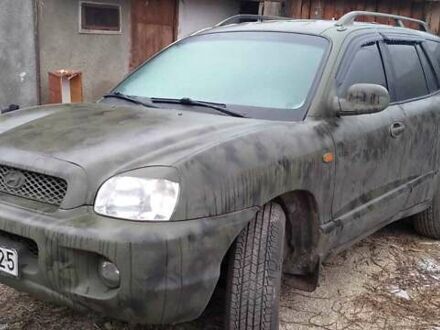 Хендай Санта Фе 2004 в Житомире на Automoto.ua Зеленый Хендай Санта Фе, объемом двигателя 2 л и пробегом 310 тыс. км за 5989 $, фото 1 на Automoto.ua