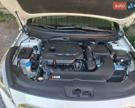 Белый Хендай Соната, объемом двигателя 2.36 л и пробегом 115 тыс. км за 10700 $, фото 14 на Automoto.ua