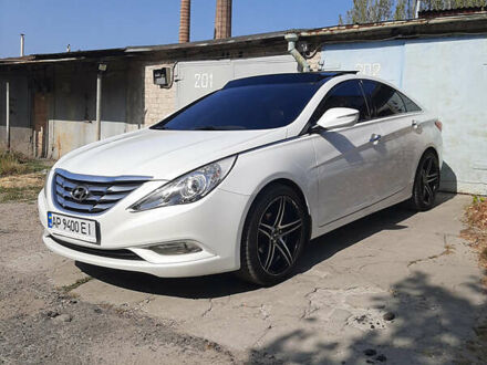 Хендай Соната 2010 в Запорожье на Automoto.ua Белый Хендай Соната, объемом двигателя 2.36 л и пробегом 140 тыс. км за 11699 $, фото 1 на Automoto.ua