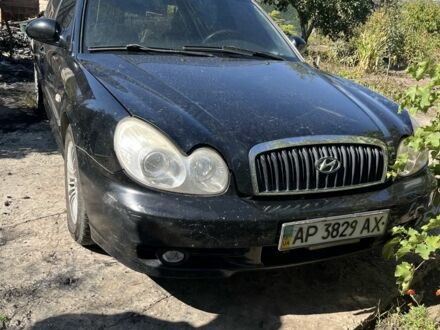 Черный Хендай Соната, объемом двигателя 2 л и пробегом 270 тыс. км за 1194 $, фото 1 на Automoto.ua