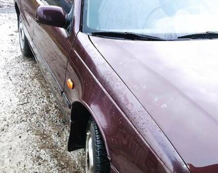 Хендай Соната 1993 в Львове на Automoto.ua Красный Хендай Соната, объемом двигателя 2 л и пробегом 359 тыс. км за 1300 $, фото 15 на Automoto.ua