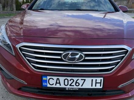 Хендай Соната 2016 в Киеве на Automoto.ua Красный Хендай Соната, объемом двигателя 2.36 л и пробегом 160 тыс. км за 8900 $, фото 1 на Automoto.ua