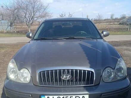 Хендай Соната 2004 в Борисполе на Automoto.ua Серый Хендай Соната, объемом двигателя 2.4 л и пробегом 270 тыс. км за 3500 $, фото 1 на Automoto.ua