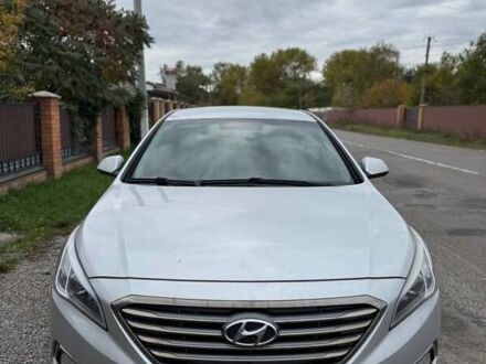 Хендай Соната 2015 в Барышевке на Automoto.ua Серый Хендай Соната, объемом двигателя 2 л и пробегом 350 тыс. км за 9500 $, фото 1 на Automoto.ua