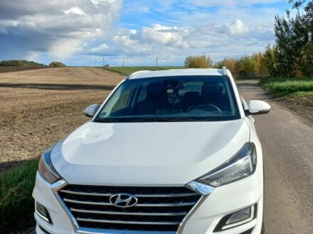 Хендай Туксон 2019 в Тетиеве на Automoto.ua Белый Хендай Туксон, объемом двигателя 1.6 л и пробегом 81 тыс. км за 22116 $, фото 1 на Automoto.ua