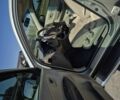 Бежевый Хендай Туксон, объемом двигателя 2 л и пробегом 180 тыс. км за 8500 $, фото 11 на Automoto.ua