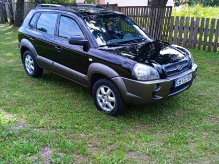 Хендай Туксон 2005 в Чернигове на Automoto.ua Черный Хендай Туксон, объемом двигателя 2 л и пробегом 240 тыс. км за 7400 $, фото 1 на Automoto.ua