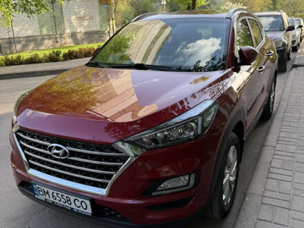 Хендай Туксон 2020 у Сумах на Automoto.ua Червоний Хендай Туксон, об'ємом двигуна 2 л та пробігом 75 тис. км за 22450 $, фото 1 на Automoto.ua