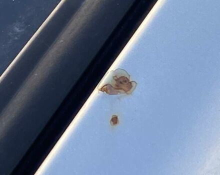 Зелений Хендай Туксон, об'ємом двигуна 1.98 л та пробігом 330 тис. км за 7000 $, фото 31 на Automoto.ua