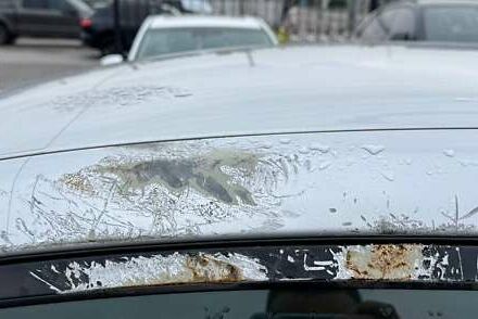 Сірий Хендай Ioniq, об'ємом двигуна 0 л та пробігом 125 тис. км за 6700 $, фото 9 на Automoto.ua