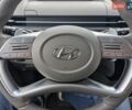 Хендай Staria 2023 у Києві на Automoto.ua Чорний Хендай Staria, об'ємом двигуна 2.2 л та пробігом 35 тис. км за 57000 $, фото 73 на Automoto.ua