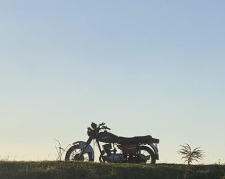 ИЖ Другая, объемом двигателя 0.3 л и пробегом 0 тыс. км за 334 $, фото 6 на Automoto.ua