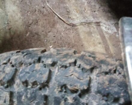 ИЖ Другая, объемом двигателя 1 л и пробегом 0 тыс. км за 238 $, фото 1 на Automoto.ua