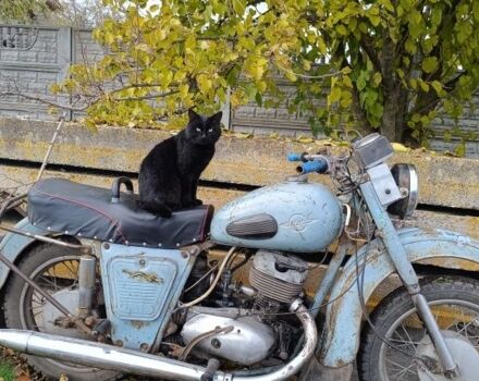 ИЖ Другая, объемом двигателя 0.35 л и пробегом 0 тыс. км за 143 $, фото 2 на Automoto.ua