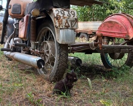 ИЖ Другая, объемом двигателя 14.86 л и пробегом 0 тыс. км за 145 $, фото 2 на Automoto.ua