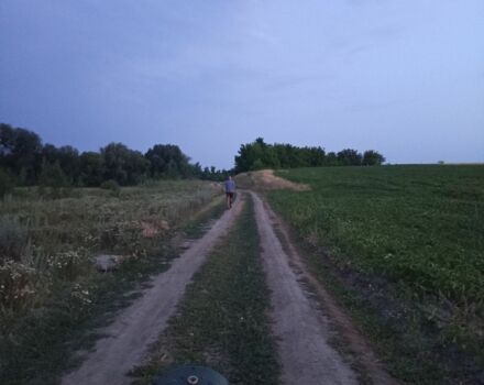 ИЖ Другая, объемом двигателя 0.4 л и пробегом 0 тыс. км за 166 $, фото 7 на Automoto.ua