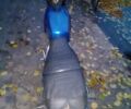 Синій ІЖ Планєта 3, об'ємом двигуна 0 л та пробігом 22 тис. км за 438 $, фото 1 на Automoto.ua