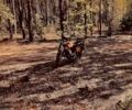 ИЖ Юпитер 5, объемом двигателя 0.35 л и пробегом 0 тыс. км за 195 $, фото 1 на Automoto.ua