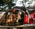 Червоний Індіан Chieftain, об'ємом двигуна 1.8 л та пробігом 5 тис. км за 24100 $, фото 55 на Automoto.ua