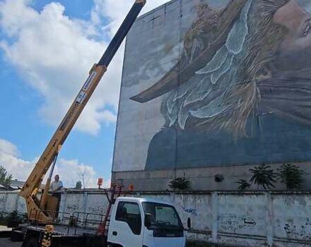 Белый Исузу НЛР, объемом двигателя 4.7 л и пробегом 112 тыс. км за 50000 $, фото 8 на Automoto.ua