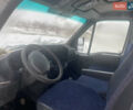 Белый Ивеко Дейли, объемом двигателя 2.8 л и пробегом 324 тыс. км за 7900 $, фото 13 на Automoto.ua