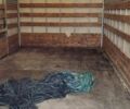 Білий Івеко Дейлі, об'ємом двигуна 3 л та пробігом 469 тис. км за 17800 $, фото 41 на Automoto.ua