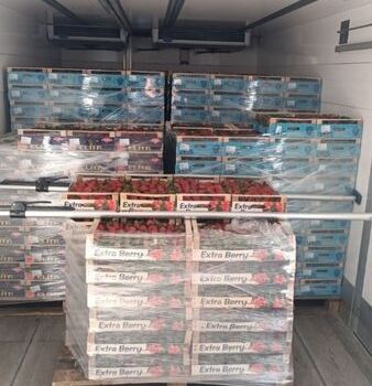 Белый Ивеко Дейли, объемом двигателя 3 л и пробегом 197 тыс. км за 33500 $, фото 3 на Automoto.ua