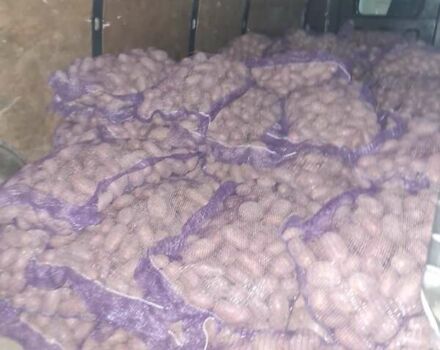 Чорний Івеко Дейлі, об'ємом двигуна 2.29 л та пробігом 356 тис. км за 8000 $, фото 12 на Automoto.ua