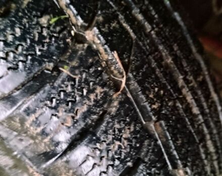 Ивеко Другая, объемом двигателя 0 л и пробегом 0 тыс. км за 7500 $, фото 1 на Automoto.ua