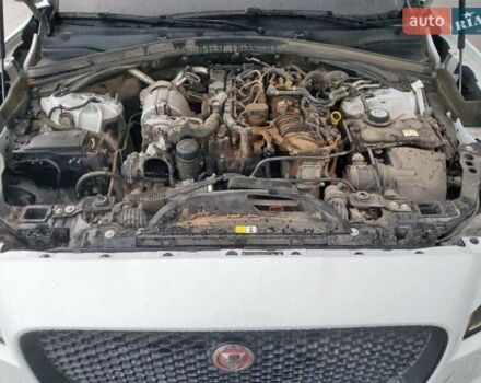 Білий Ягуар Ф-Пейс, об'ємом двигуна 2 л та пробігом 128 тис. км за 9500 $, фото 13 на Automoto.ua