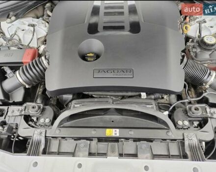 Белый Ягуар Ф-Пейс, объемом двигателя 3 л и пробегом 48 тыс. км за 55500 $, фото 38 на Automoto.ua