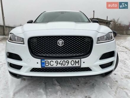 Ягуар Ф-Пейс 2016 у Києві на Automoto.ua Білий Ягуар Ф-Пейс, об'ємом двигуна 3 л та пробігом 65 тис. км за 26900 $, фото 1 на Automoto.ua