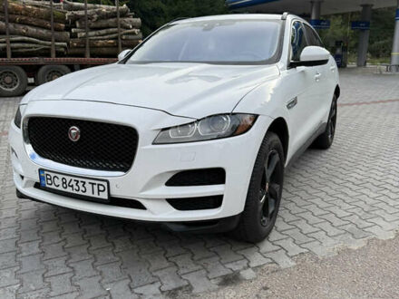 Ягуар Ф-Пейс 2017 в Львове на Automoto.ua Белый Ягуар Ф-Пейс, объемом двигателя 3 л и пробегом 151 тыс. км за 23500 $, фото 1 на Automoto.ua