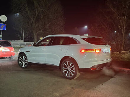 Ягуар Ф-Пейс 2018 в Черновцах на Automoto.ua Белый Ягуар Ф-Пейс, объемом двигателя 2 л и пробегом 66 тыс. км за 36500 $, фото 1 на Automoto.ua