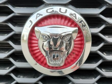 Ягуар Ф-Пейс 2018 у Києві на Automoto.ua Білий Ягуар Ф-Пейс, об'ємом двигуна 2 л та пробігом 58 тис. км за 26635 $, фото 1 на Automoto.ua