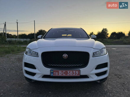 Ягуар Ф-Пейс 2018 в Киеве на Automoto.ua Белый Ягуар Ф-Пейс, объемом двигателя 2 л и пробегом 107 тыс. км за 27500 $, фото 1 на Automoto.ua