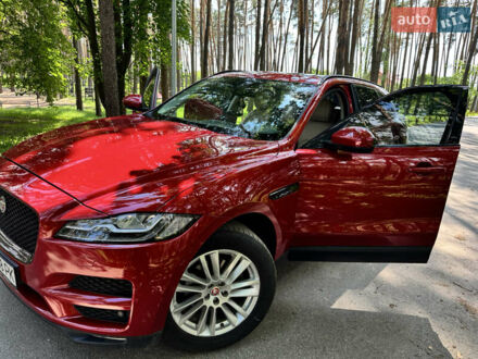 Ягуар Ф-Пейс 2016 в Киеве на Automoto.ua Красный Ягуар Ф-Пейс, объемом двигателя 2 л и пробегом 130 тыс. км за 23000 $, фото 1 на Automoto.ua