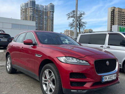 Ягуар Ф-Пейс 2016 у Києві на Automoto.ua Червоний Ягуар Ф-Пейс, об'ємом двигуна 3 л та пробігом 196 тис. км за 14999 $, фото 1 на Automoto.ua