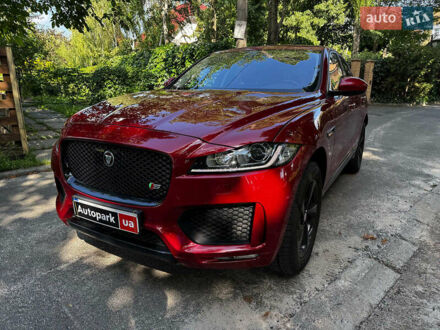 Ягуар Ф-Пейс 2016 в Киеве на Automoto.ua Красный Ягуар Ф-Пейс, объемом двигателя 3 л и пробегом 73 тыс. км за 25440 $, фото 1 на Automoto.ua
