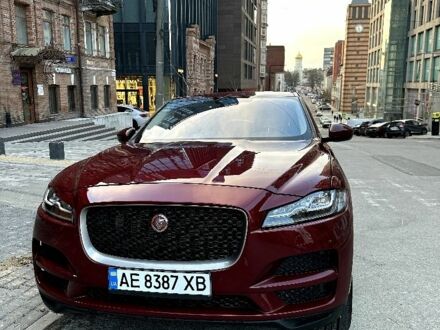 Ягуар Ф-Пейс 2016 в Днепре (Днепропетровске) на Automoto.ua Красный Ягуар Ф-Пейс, объемом двигателя 3 л и пробегом 150 тыс. км за 20567 $, фото 1 на Automoto.ua