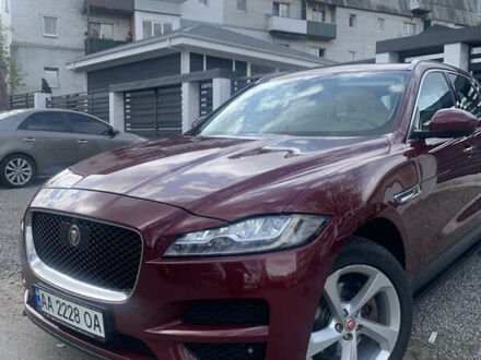 Ягуар Ф-Пейс 2016 у Києві на Automoto.ua Червоний Ягуар Ф-Пейс, об'ємом двигуна 2 л та пробігом 155 тис. км за 23500 $, фото 1 на Automoto.ua