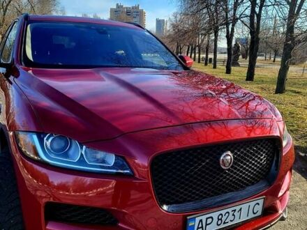 Ягуар Ф-Пейс 2018 в Запорожье на Automoto.ua Красный Ягуар Ф-Пейс, объемом двигателя 2 л и пробегом 56 тыс. км за 30000 $, фото 1 на Automoto.ua