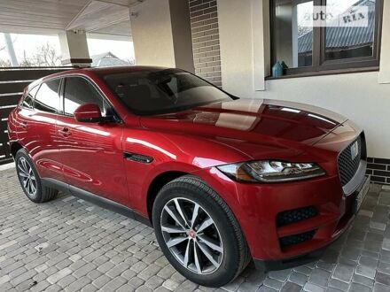 Ягуар Ф-Пейс 2020 в Киеве на Automoto.ua Красный Ягуар Ф-Пейс, объемом двигателя 2 л и пробегом 29 тыс. км за 39000 $, фото 1 на Automoto.ua