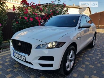 Ягуар Ф-Пейс 2017 в Тернополе на Automoto.ua Ягуар Ф-Пейс, объемом двигателя 3 л и пробегом 99 тыс. км за 28500 $, фото 1 на Automoto.ua