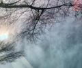 Серый Ягуар Ф-Пейс, объемом двигателя 3 л и пробегом 163 тыс. км за 30000 $, фото 7 на Automoto.ua