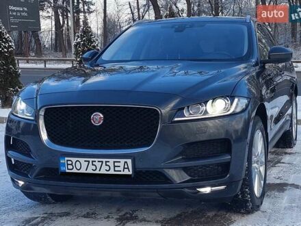 Ягуар Ф-Пейс 2016 в Тернополе на Automoto.ua Серый Ягуар Ф-Пейс, объемом двигателя 2 л и пробегом 200 тыс. км за 23900 $, фото 1 на Automoto.ua