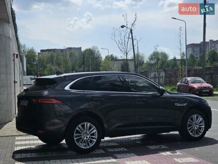 Ягуар Ф-Пейс 2017 у Львові на Automoto.ua Сірий Ягуар Ф-Пейс, об'ємом двигуна 2 л та пробігом 153 тис. км за 17650 $, фото 1 на Automoto.ua
