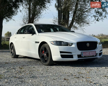 Ягуар XE 2017 в Ровно на Automoto.ua Белый Ягуар XE, объемом двигателя 2 л и пробегом 155 тыс. км за 11500 $, фото 1 на Automoto.ua
